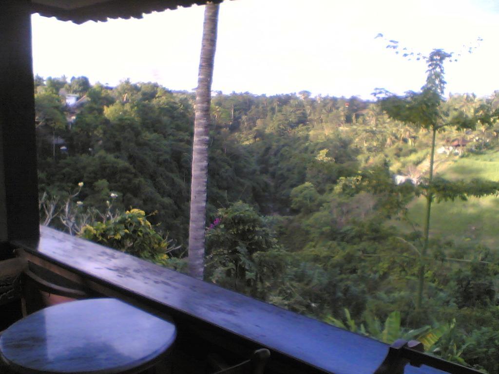 Sanggingan Villa Ubud Exterior foto